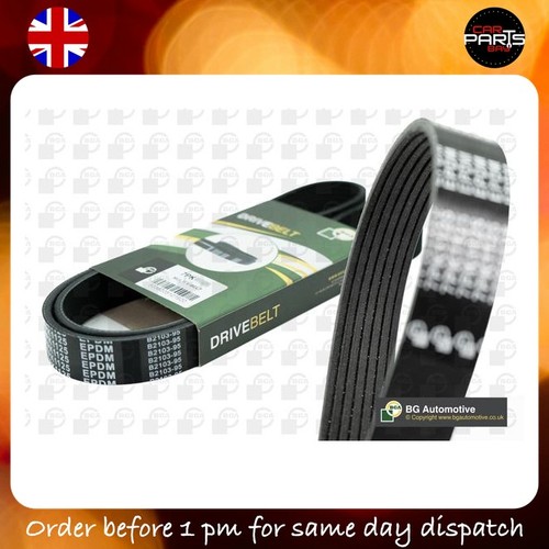 Belt for jaguar xk8 2 - xj, 3.2