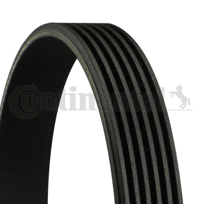 Ribbed belt continental ctam - continental,